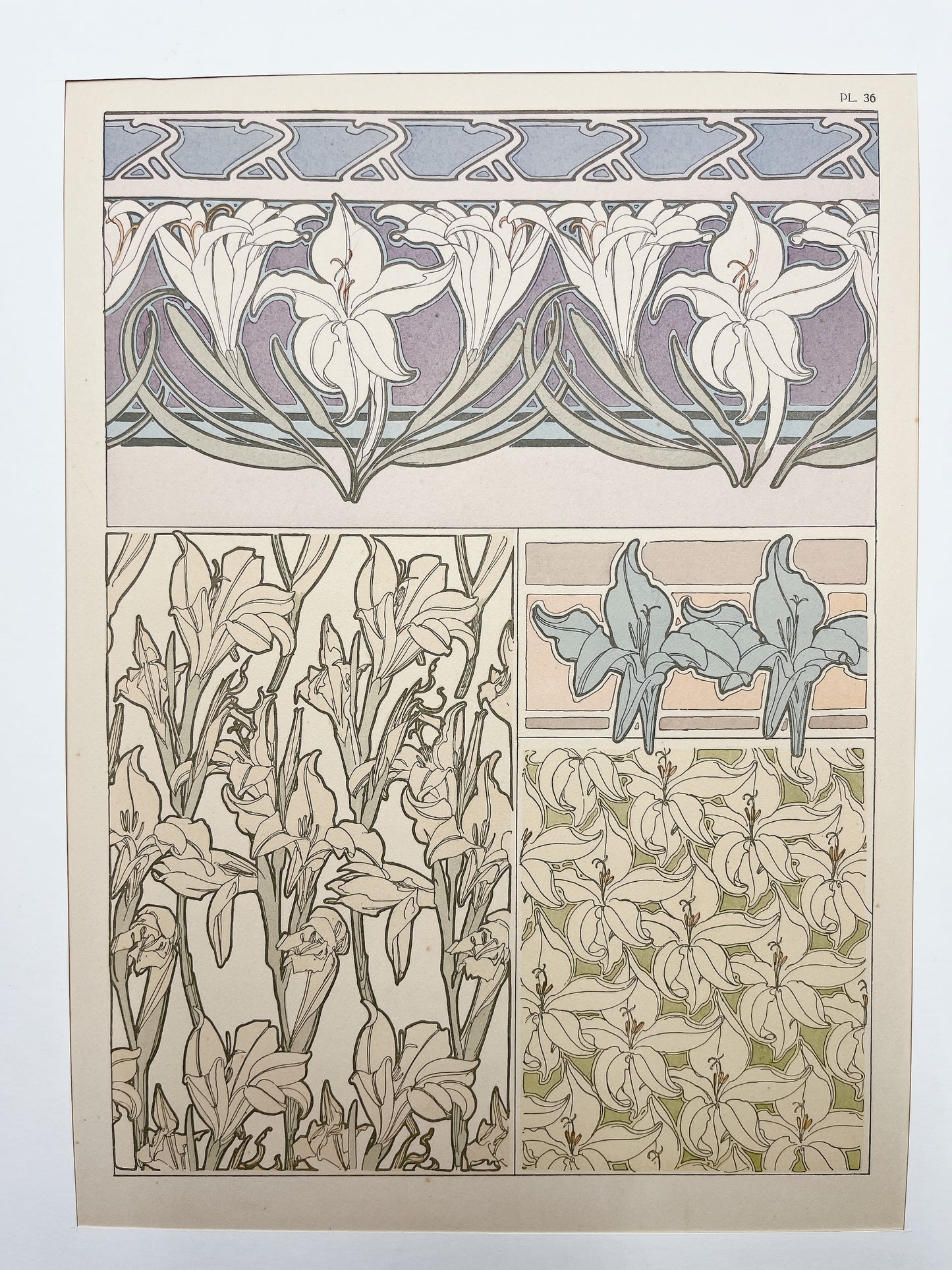 アルフォンス・ミュシャ「装飾資料集 PL36」 - ギャラリーK