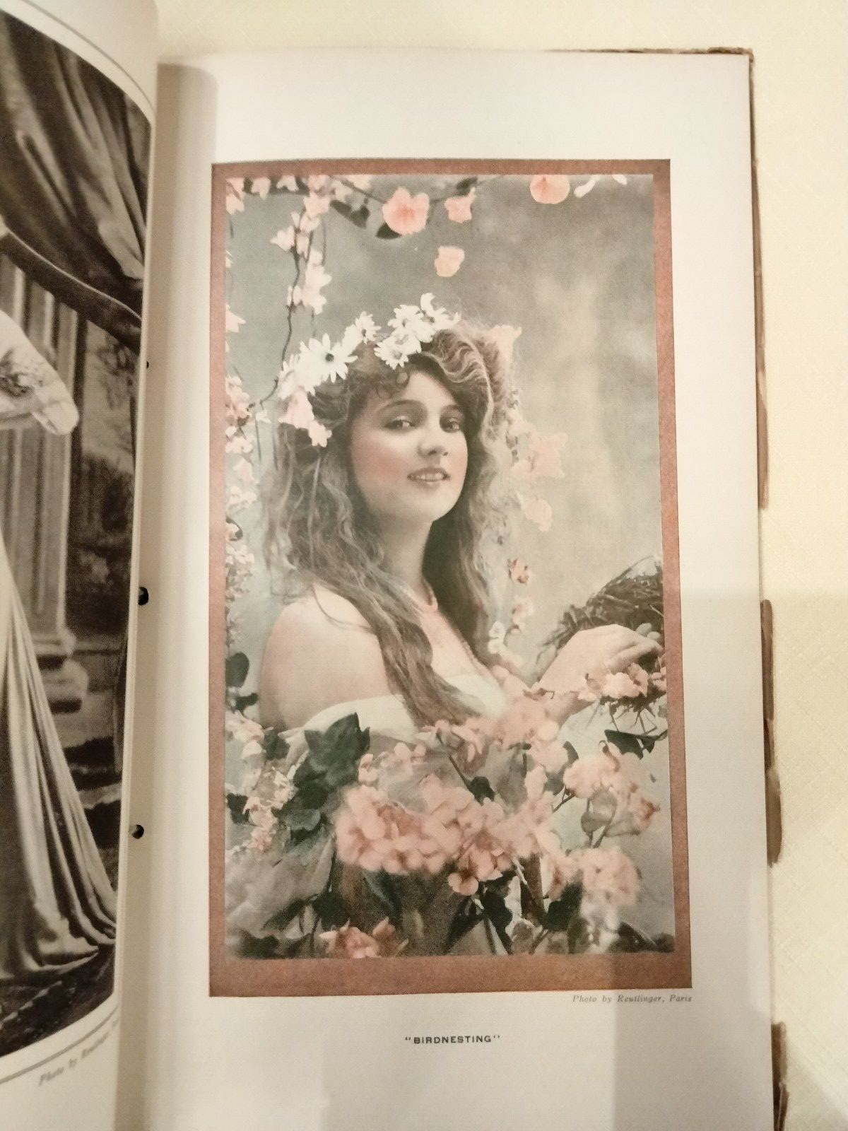 アルフォンス・ミュシャ「バーマッキントッシュ誌」 - ギャラリーK